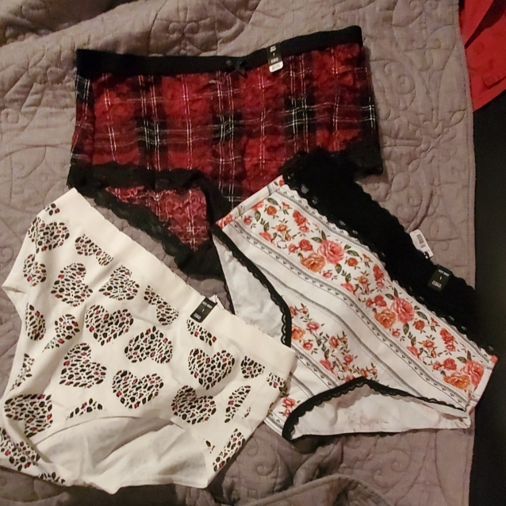 Torrid Panties